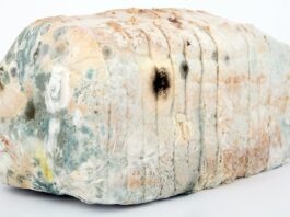 Czym dezynfekować akwarium?