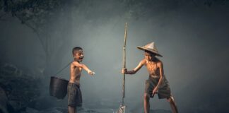 Jakie ryby czyszczą szyby w akwarium?